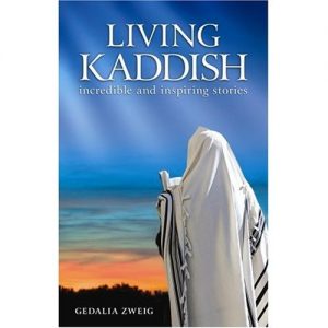 Descargar EL IMPACTO DE KADDISH pdf, epub, ebook