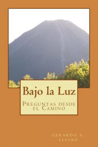 Descargar Bajo la Luz: Preguntas desde el Camino pdf, epub, ebook