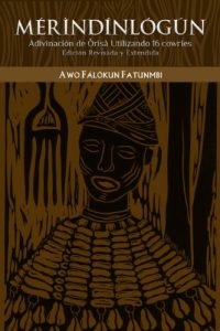 Descargar Mérìndínlógún: Adivinación de Òrìsà Utilizando 16 Cowries:  Edición Revisada y Extendida pdf, epub, ebook