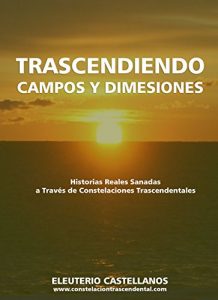 Descargar Trascendiendo Campos y Dimensiones: Historias reales sanadas a través de Constelaciones Trascendentales pdf, epub, ebook