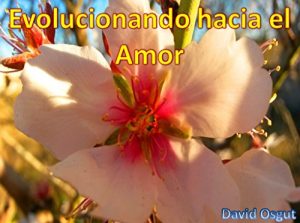 Descargar Evolucionando hacia el Amor pdf, epub, ebook
