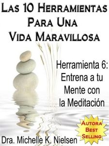 Descargar LAS 10 HERRAMIENTAS PARA UNA VIDA MARAVILLOSA-Herramienta 6: Entrena a tu mente con la meditación pdf, epub, ebook