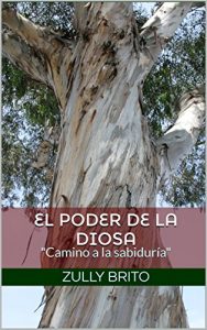 Descargar EL PODER DE LA DIOSA: “Camino a la sabiduría” pdf, epub, ebook