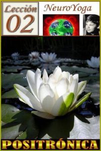 Descargar TÉCNICAS DEL NEUROYOGA: POSITRÓNICA, PENSAMIENTO POSITIVO (BUDDHA MAITREYA nº 4) pdf, epub, ebook