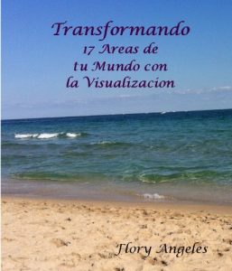 Descargar Transformando 17 areas de tu mundo con la visualizacion pdf, epub, ebook