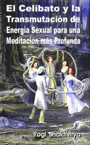 Descargar El Celibato y la Transmutación de  Energía Sexual para una Meditación más Profunda pdf, epub, ebook