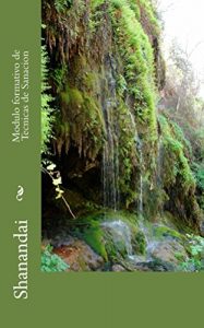 Descargar Modulo formativo de Tecnicas de Sanacion pdf, epub, ebook