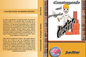 Descargar Construyendo mi propio destino pdf, epub, ebook