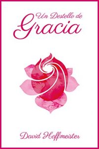 Descargar Un Destello de Gracia pdf, epub, ebook