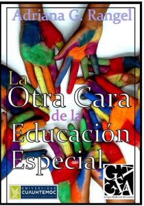 Descargar La Otra Cara de la Educación Especial pdf, epub, ebook
