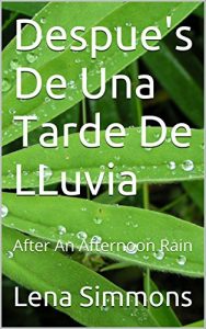 Descargar Despue’s De Una Tarde De LLuvia: After An Afternoon Rain pdf, epub, ebook
