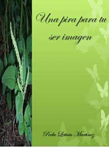 Descargar Una pira para tu ser imagen pdf, epub, ebook