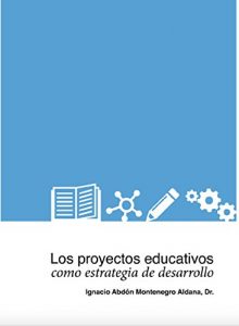 Descargar Los proyectos educativos como estrategia de desarrollo: Diseño, desarrollo y evaluación de proyectos educativos (Obras pedagógicas nº 1) pdf, epub, ebook