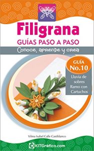 Descargar Guía No.10 – Lluvia de sobres – Ramo con cartuchos (Filigrana Guías Paso a Paso) pdf, epub, ebook