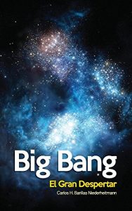 Descargar big bang: el gran despertar pdf, epub, ebook