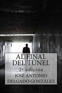 Descargar AL FINAL DEL TÚNEL: Una historia sobre el despertar del Alma pdf, epub, ebook