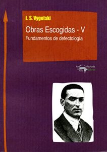Descargar Obras Escogidas de Vygotski – V: Fundamentos de defectología (Machado Nuevo Aprendizaje nº 2) pdf, epub, ebook