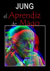 Descargar EL APRENDIZ DE MAGO: Coaching con Jung pdf, epub, ebook