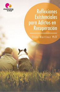 Descargar REFLEXIONES EXISTENCIALES PARA ADICTOS EN RECUPERACIÓN pdf, epub, ebook