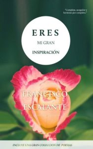 Descargar Eres mi gran inspiración pdf, epub, ebook