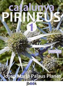 Descargar CATALUNYA: PIRINEUS [1] (Catalan Edition) pdf, epub, ebook