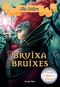 Descargar La bruixa de bruixes: Princeses del Regne de la Fantasia 13 pdf, epub, ebook