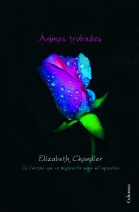 Descargar Ànimes trobades (Clàssica) pdf, epub, ebook