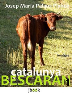 Descargar CATALUNYA: BESCARAN [1] (Catalan Edition) pdf, epub, ebook