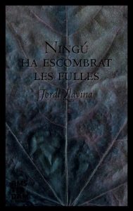Descargar Ningú ha escombrat les fulles pdf, epub, ebook