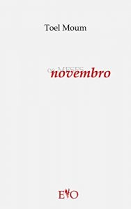 Descargar Os meses NOVEMBRO (Galician Edition) pdf, epub, ebook