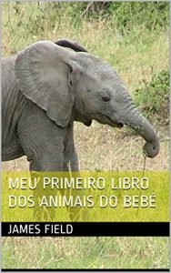 Descargar Meu primeiro Libro dos Animais do bebé (Galician Edition) pdf, epub, ebook