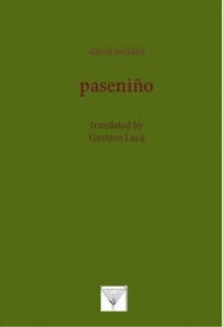 Descargar paseniño (Galician Edition) pdf, epub, ebook