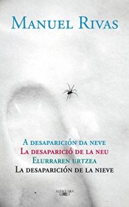 Descargar La desaparición de la nieve pdf, epub, ebook
