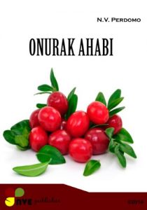 Descargar ONURAK AHABI (Basque Edition) pdf, epub, ebook