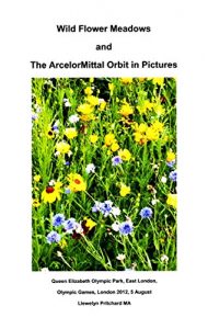 Descargar Wild Flower Meadows and The ArcelorMittal Orbit in Pictures (Argazki Albumak Book 18) (Basque Edition) pdf, epub, ebook
