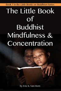 Descargar The Little Book of Buddhist Mindfulness & Concentration (The Little Books on Buddhism 5) (English Edition) pdf, epub, ebook
