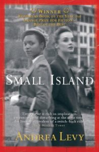 Descargar Small Island (English Edition) pdf, epub, ebook