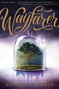 Descargar Passenger: Wayfarer: Book 2 (English Edition) pdf, epub, ebook