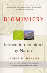 Descargar Biomimicry: Innovation Inspired by Nature pdf, epub, ebook
