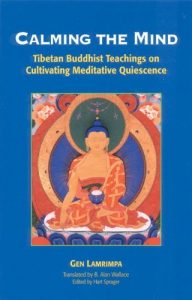 Descargar Calming the Mind: Tibetan Buddhist Teachings on Cultivating Meditative Quiescence pdf, epub, ebook