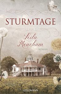 Descargar Sturmtage: Roman (German Edition) pdf, epub, ebook