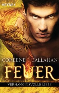 Descargar Feuer – Verhängnisvolle Liebe: Feuer 4 – Roman (German Edition) pdf, epub, ebook