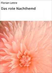 Descargar Das rote Nachthemd pdf, epub, ebook