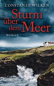 Descargar Sturm über dem Meer: Roman (German Edition) pdf, epub, ebook