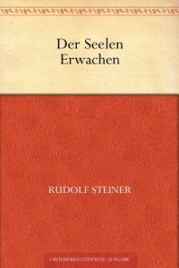 Descargar Der Seelen Erwachen (German Edition) pdf, epub, ebook