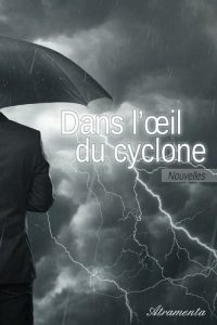 Descargar Dans l’oeil du cyclone pdf, epub, ebook