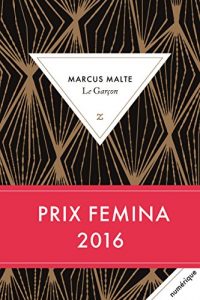 Descargar Le Garçon (LITTERATURE) pdf, epub, ebook