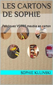 Descargar Les cARTons de Sophie: Fabriquez VOTRE meuble en carton (Les bases du cartonnage) (French Edition) pdf, epub, ebook