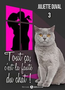 Descargar Tout ça, c’est la faute du chat ! – 3 (French Edition) pdf, epub, ebook