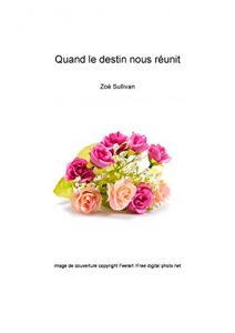 Descargar Quand le destin nous réunit pdf, epub, ebook